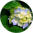 Venki Venkat profile picture