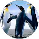 Bharathiraja Bharathiraja profile picture